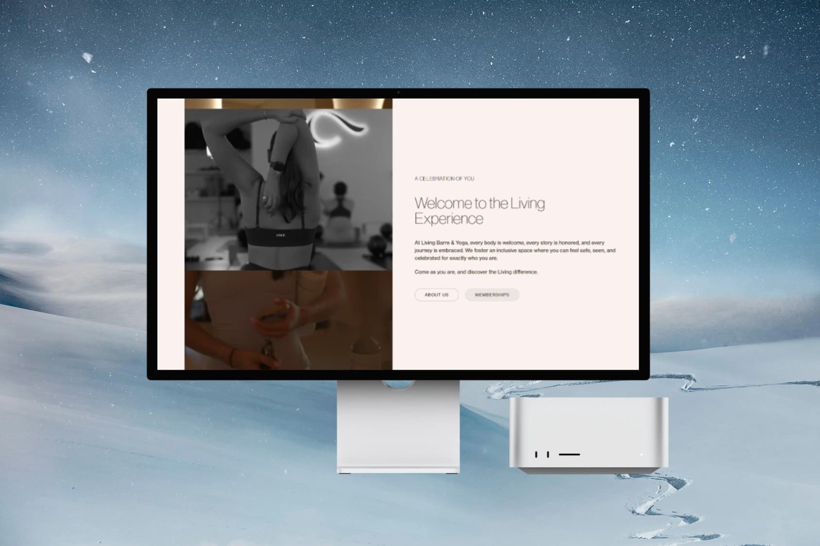 Living Barre & Yoga: Wellness Studio Platform detail 3